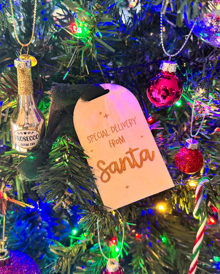 *CLEARANCE* Special Delivery From Santa Tag