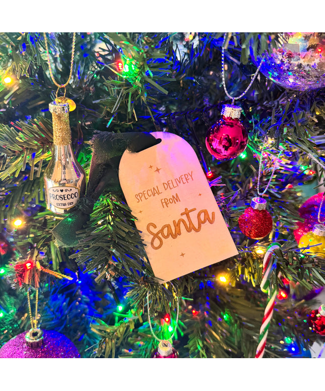 *CLEARANCE* Special Delivery From Santa Tag